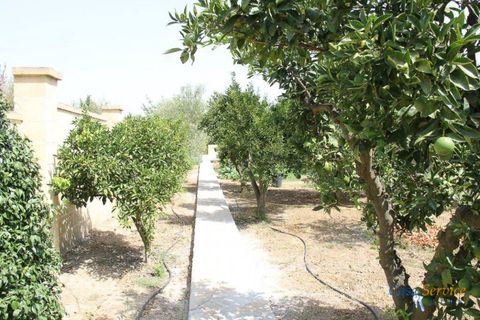 Villa i Matino, Lecce, Matino - € 380.000 | Ref: MATIL-448 - foto 32