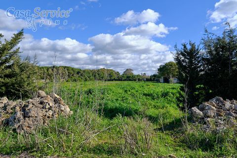Terra a Gallipoli, Lecce, Gallipoli - € 120.000 | Ref: GIL-RPTER-200 - foto 3