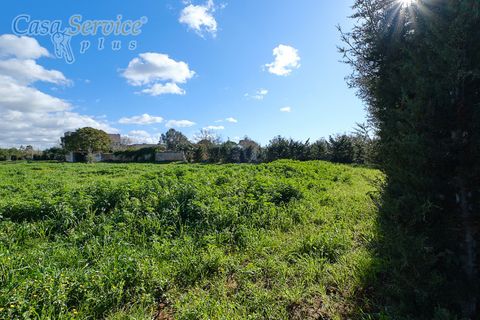 Terra a Gallipoli, Lecce, Gallipoli - € 120.000 | Ref: GIL-RPTER-200 - foto 4