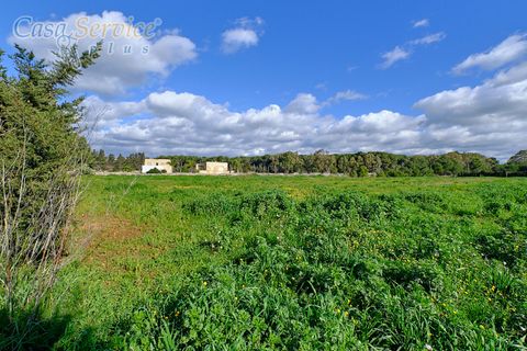 Terra a Gallipoli, Lecce, Gallipoli - € 120.000 | Ref: GIL-RPTER-200 - foto 5