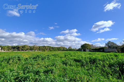Terra a Gallipoli, Lecce, Gallipoli - € 120.000 | Ref: GIL-RPTER-200 - foto 6