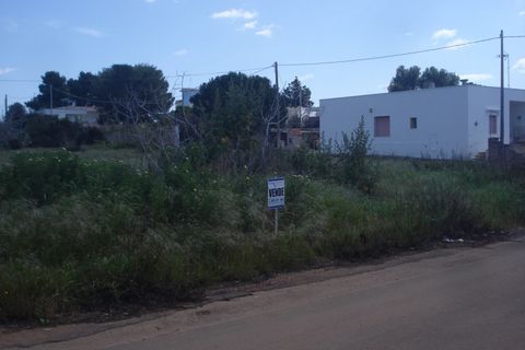 Terra a Racale, Lecce, Racale - € 50.000 | Ref: RAIL-ED-60 - foto 3