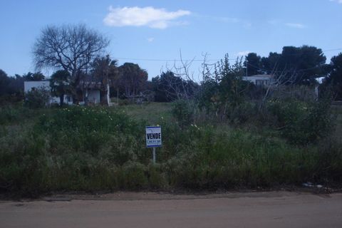 Terra a Racale, Lecce, Racale - € 50.000 | Ref: RAIL-ED-60 - foto 4