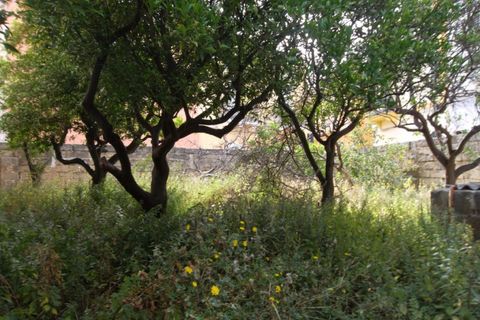 Villa a Alezio, Lecce, Alezio - € 250.000 | Ref: Alf-300 - foto 20