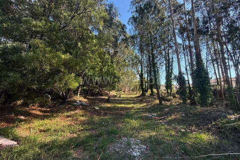 Helårsgrund i Maia, Porto, Maia - € 270.000 | Ref: 352250200 - foto 3