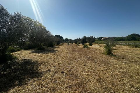 Lejlighed i Modica, Ragusa, Modica - € 87.000 | Ref: 11724 - foto 5