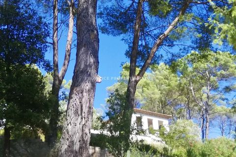 Villa i Lorgues, Var, Lorgues - € 1.200.000 | Ref: 84894411 - foto 25