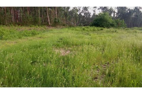 Helårsgrund i Ponte de Lima, Viana do Castelo, Ponte de Lima - € 75.000 | Ref: VCC14723 - foto 3