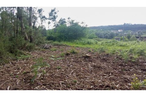 Helårsgrund i Ponte de Lima, Viana do Castelo, Ponte de Lima - € 75.000 | Ref: VCC14723 - foto 10