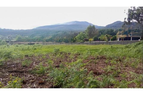 Helårsgrund i Ponte de Lima, Viana do Castelo, Ponte de Lima - € 75.000 | Ref: VCC14723 - foto 16