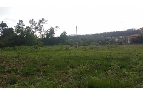 Helårsgrund i Ponte de Lima, Viana do Castelo, Ponte de Lima - € 75.000 | Ref: VCC14723 - foto 19