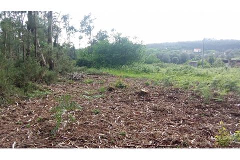 Helårsgrund i Ponte de Lima, Viana do Castelo, Ponte de Lima - € 75.000 | Ref: VCC14723 - foto 21