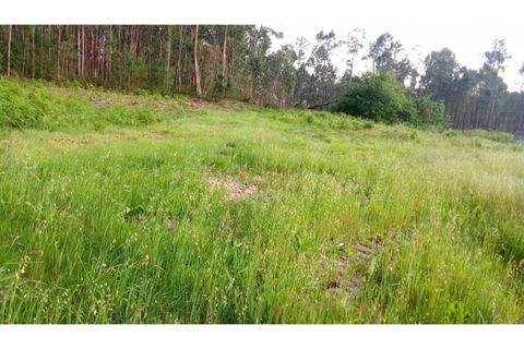 Helårsgrund i Ponte de Lima, Viana do Castelo, Ponte de Lima - € 75.000 | Ref: VCC14723 - foto 22