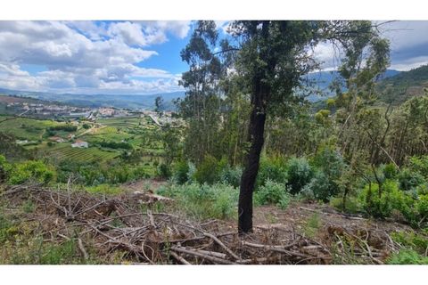 Tomt i Gestaco, Porto, Gestaco - € 45 000 | Ref: MC09919 - foto 2