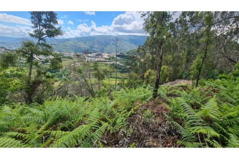 Tomt i Gestaco, Porto, Gestaco - € 45 000 | Ref: MC09919 - foto 3