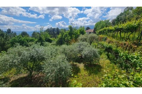 Tomt i Gestaco, Porto, Gestaco - € 45 000 | Ref: MC09919 - foto 9