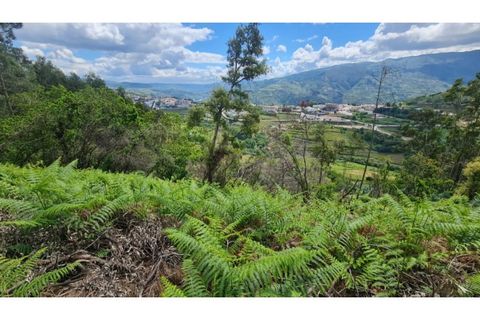 Tomt i Gestaco, Porto, Gestaco - € 45 000 | Ref: MC09919 - foto 11