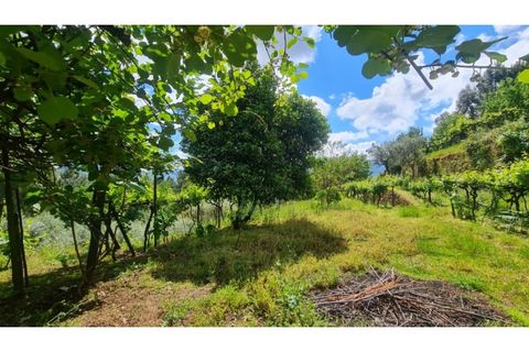 Tomt i Gestaco, Porto, Gestaco - € 45 000 | Ref: MC09919 - foto 12