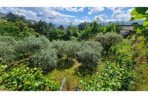 Tomt i Gestaco, Porto, Gestaco - € 45 000 | Ref: MC09919 - foto 13