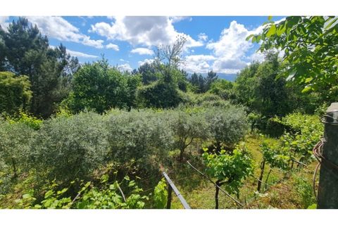 Tomt i Gestaco, Porto, Gestaco - € 45 000 | Ref: MC09919 - foto 14