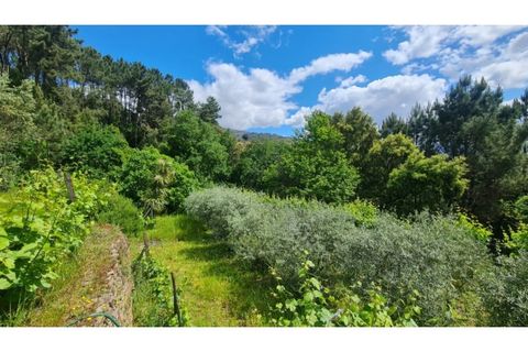 Tomt i Gestaco, Porto, Gestaco - € 45 000 | Ref: MC09919 - foto 16