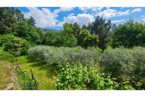 Tomt i Gestaco, Porto, Gestaco - € 45 000 | Ref: MC09919 - foto 17