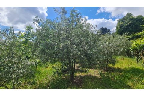 Tomt i Gestaco, Porto, Gestaco - € 45 000 | Ref: MC09919 - foto 20
