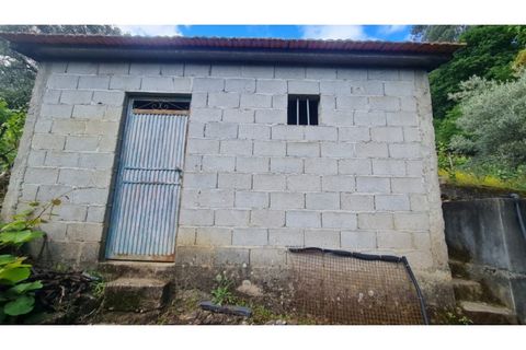 Tomt i Gestaco, Porto, Gestaco - € 45 000 | Ref: MC09919 - foto 25
