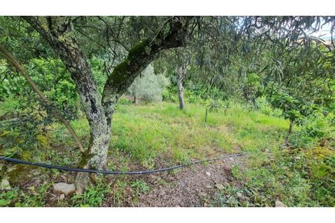 Tomt i Gestaco, Porto, Gestaco - € 45 000 | Ref: MC09919 - foto 27