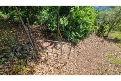 Tomt i Gestaco, Porto, Gestaco - € 45 000 | Ref: MC09919 - foto 28