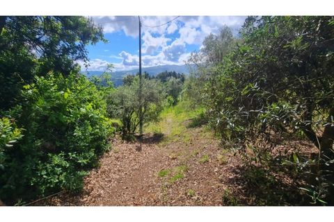 Tomt i Gestaco, Porto, Gestaco - € 45 000 | Ref: MC09919 - foto 30