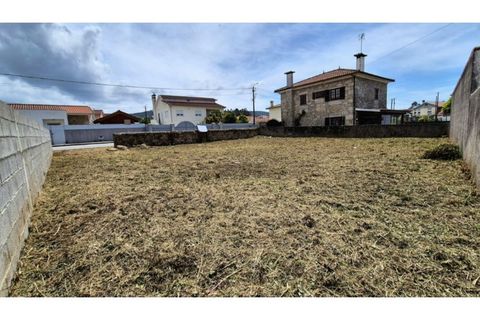 Terra a Barroselas, Viana do Castelo, Barroselas - € 65.000 | Ref: VCM14643 - foto 3