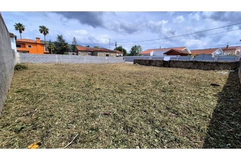 Terra a Barroselas, Viana do Castelo, Barroselas - € 65.000 | Ref: VCM14643 - foto 20