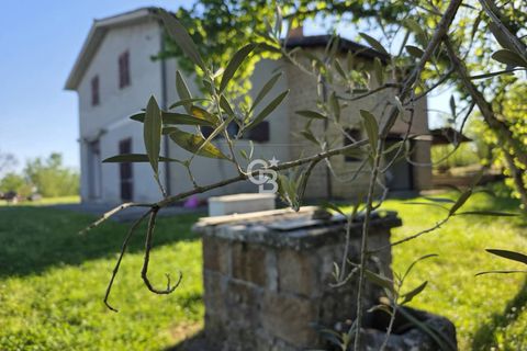 Villa a Carbognano, Viterbo, Carbognano - € 219.000 | Ref: CBI006-7-333091 - foto 12