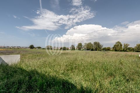 Villa i Ilhavo, Aveiro, Ilhavo - € 420.000 | Ref: 97452 - foto 29