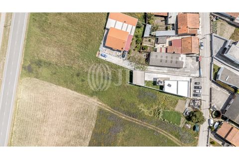 Villa i Ilhavo, Aveiro, Ilhavo - € 420.000 | Ref: 97452 - foto 35
