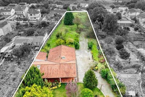 Farm i Paredes, Porto, Paredes - € 950.000 | Ref: Q-30744 - foto 12