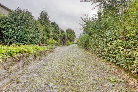 Farm i Paredes, Porto, Paredes - € 950.000 | Ref: Q-30744 - foto 16