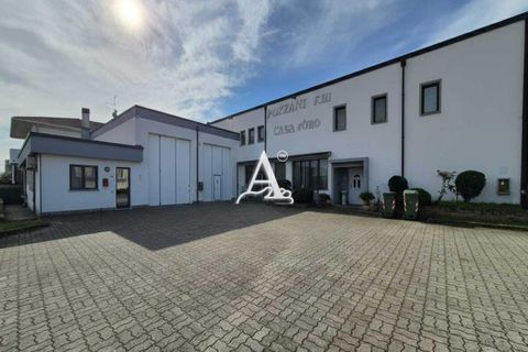 Erhvervsejendom i Cerea, Verona, Cerea - € 450.000 | Ref: 26460a482 - foto 9
