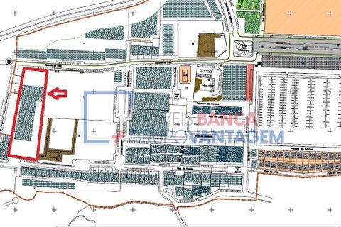 Helårsgrund i Albufeira, Faro, Albufeira - € 3.500.000 | Ref: T-30716 - foto 2