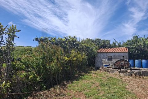 Helårsgrund i Sagres, Faro, Sagres - € 99.000 | Ref: KWPT-032413 - foto 2