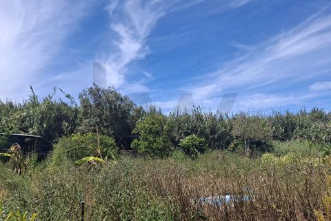 Helårsgrund i Sagres, Faro, Sagres - € 99.000 | Ref: KWPT-032413 - foto 3