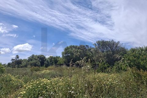 Helårsgrund i Sagres, Faro, Sagres - € 99.000 | Ref: KWPT-032413 - foto 4