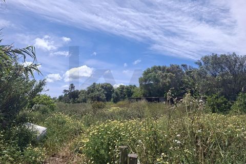 Helårsgrund i Sagres, Faro, Sagres - € 99.000 | Ref: KWPT-032413 - foto 5