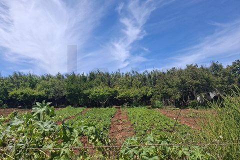 Helårsgrund i Sagres, Faro, Sagres - € 99.000 | Ref: KWPT-032413 - foto 7
