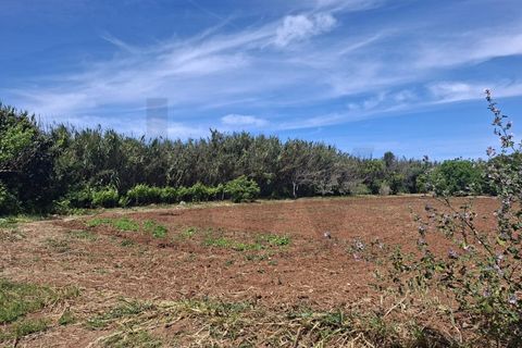 Helårsgrund i Sagres, Faro, Sagres - € 99.000 | Ref: KWPT-032413 - foto 8