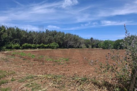 Helårsgrund i Sagres, Faro, Sagres - € 99.000 | Ref: KWPT-032413 - foto 9