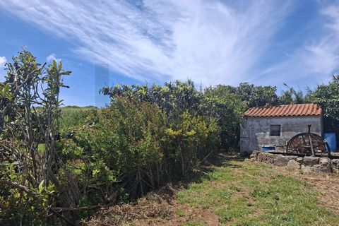 Helårsgrund i Sagres, Faro, Sagres - € 99.000 | Ref: KWPT-032413 - foto 10