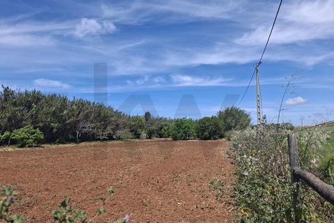 Helårsgrund i Sagres, Faro, Sagres - € 99.000 | Ref: KWPT-032413 - foto 12