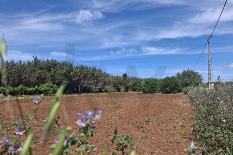 Helårsgrund i Sagres, Faro, Sagres - € 99.000 | Ref: KWPT-032413 - foto 13